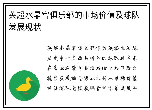 英超水晶宫俱乐部的市场价值及球队发展现状